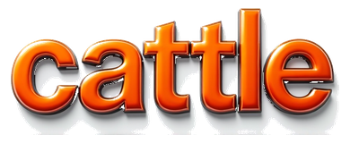 cattle